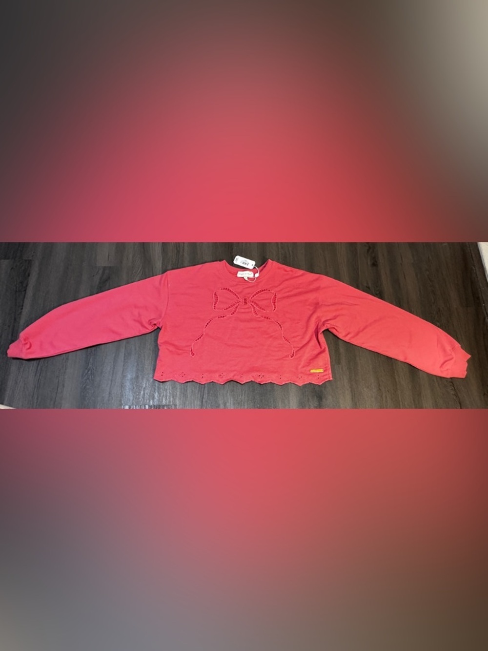 Pink Bow Embroidered Cropped Sweatshirt XS NWT Eyelet Scallop Hem - Picture 6 of 11